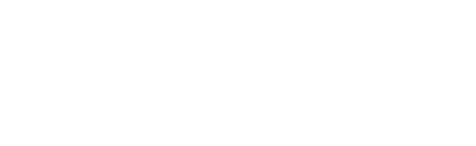 Western Digital