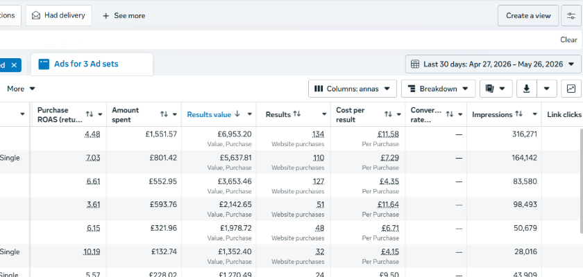 Meta Ads — purchase ROAS up to 10.19 across ad sets