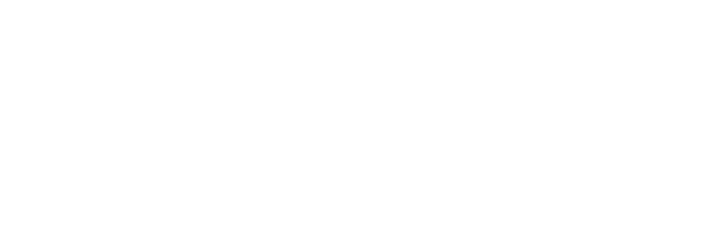 SanDisk